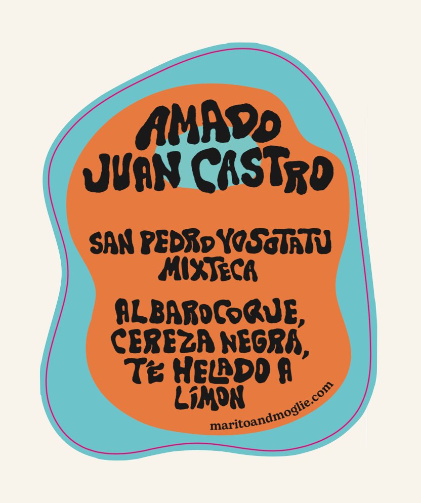 Amado Juan Castro