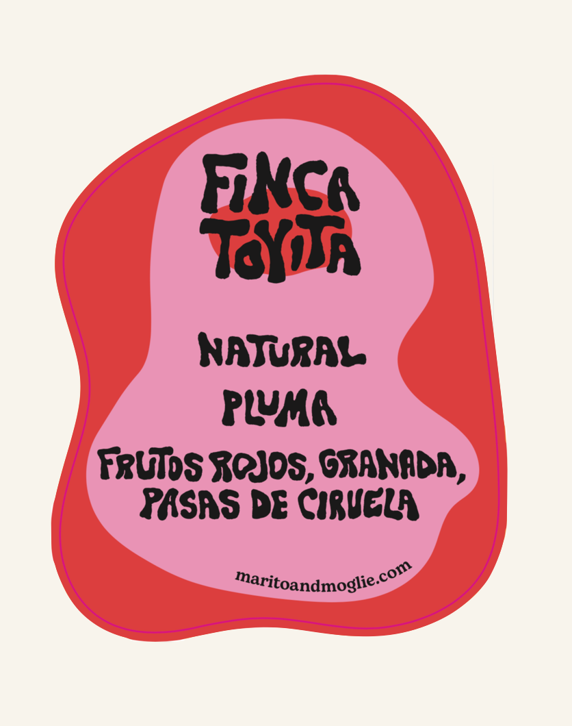 Finca Toyita, Natural