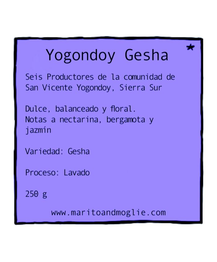 Yogondoy Gesha